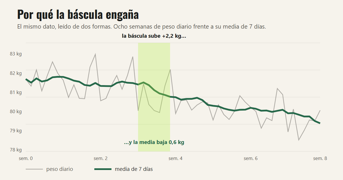 Ocho semanas del mismo dato. La línea fina es el peso diario; la gruesa, su media de los últimos siete días.